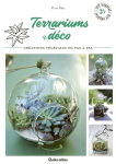 Terrariums déco
