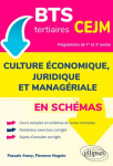 Culture économique, juridique et managériale en schémas BTS tertiaires CEJM